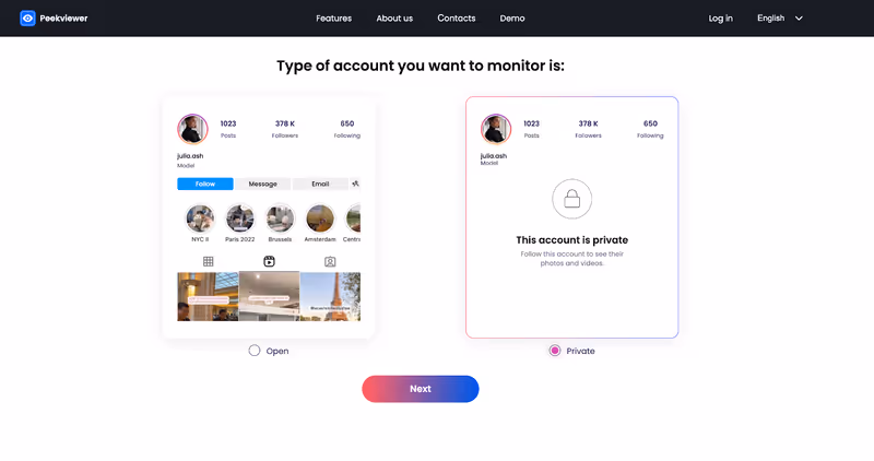 How to use Peekviewer: choosing IG account type How to use Peekviewer: choosing IG account type