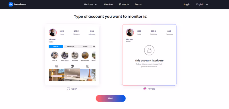 Using Peekviewer to save private Instagram content. Choose the profile type (public or private) and confirm.