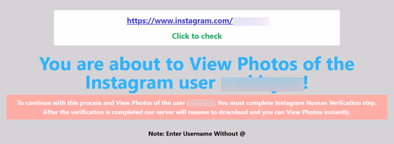 How Instalooker Works Step 3 – by Private Instagram Viewer Free