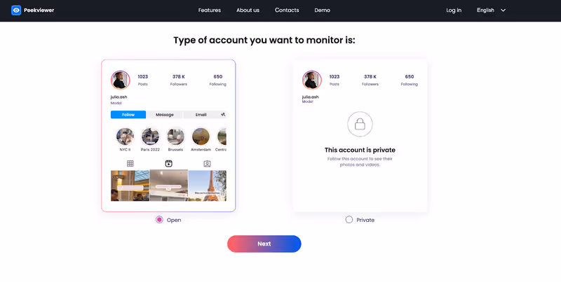 How to use Peekviewer: choosing IG account type