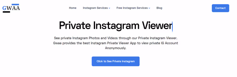 Gwaa Instagram viewer and its performance