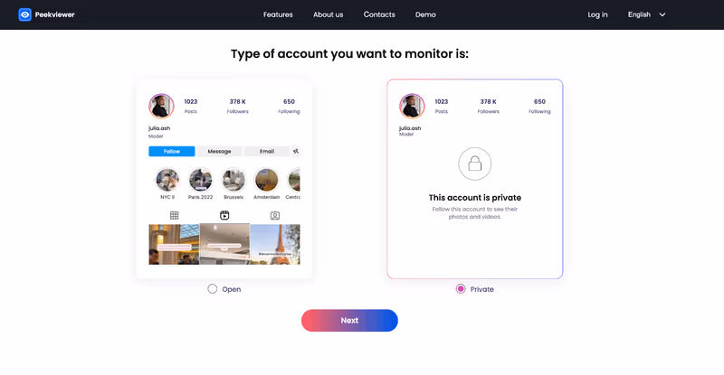 How to view Instagram comments with Peekviewer