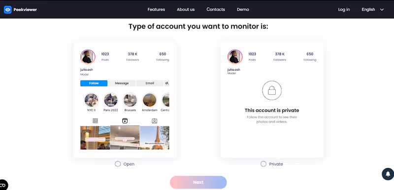 How to Use Peekviewer Blocked Instagram Account Viewer - choose account type